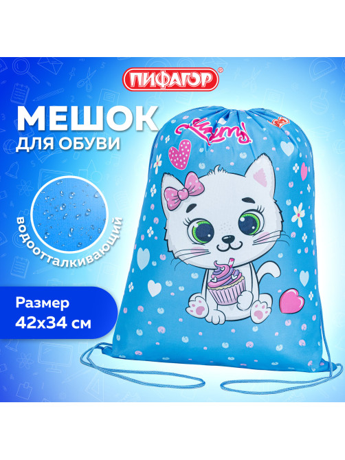 Мешок для обуви ПИФАГОР, 1 отделение, 42х34 см, 