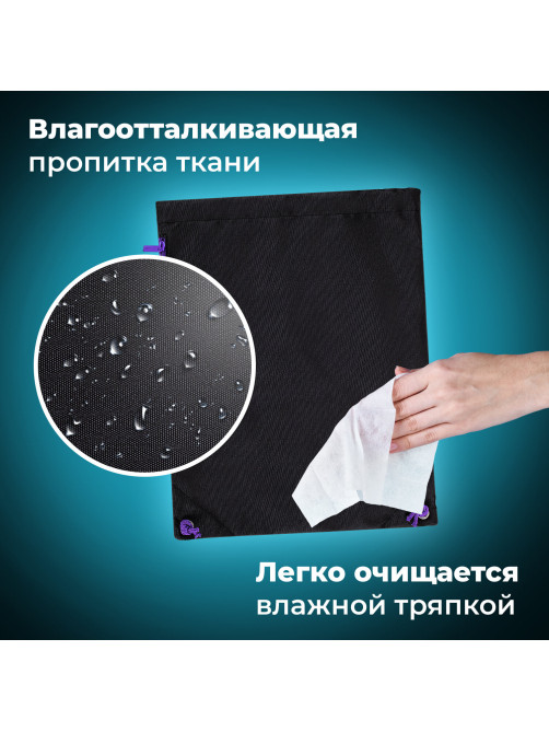 Мешок для обуви BRAUBERG плотный, карман на молнии, подкладка, 43х33 см, 