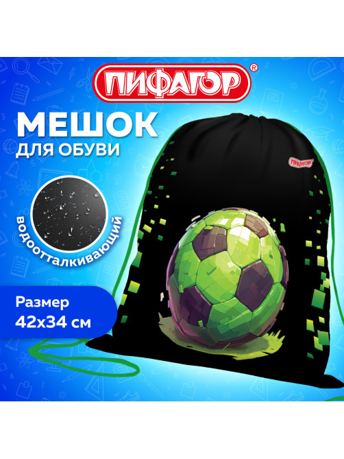 Мешок для обуви ПИФАГОР, 1 отделение, 42х34 см, 