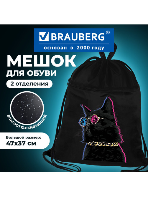 Мешок для обуви BRAUBERG, с петлёй, карман на молнии, 47х37 см, 