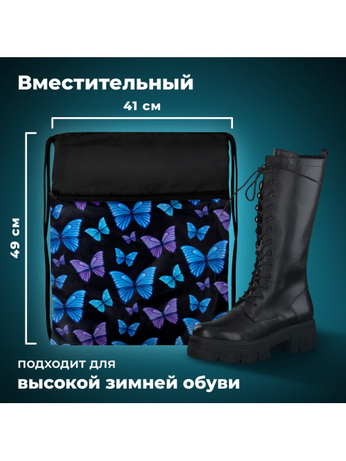 Мешок для обуви BRAUBERG БОЛЬШОЙ, с ручкой, карман на молнии, сетка, 49х41 см, 