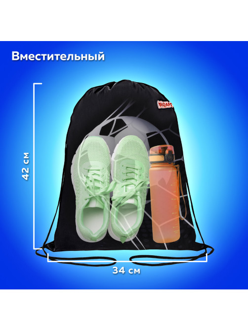 Мешок для обуви ПИФАГОР, 1 отделение, 42х34 см, 