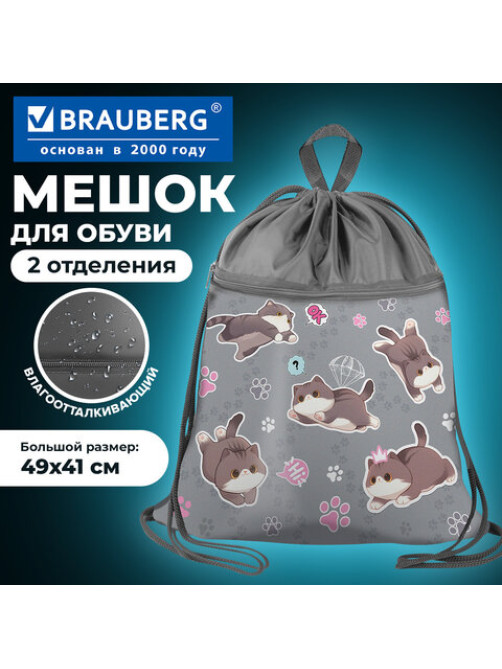 Мешок для обуви BRAUBERG БОЛЬШОЙ, с ручкой, карман на молнии, сетка, 49х41 см, 