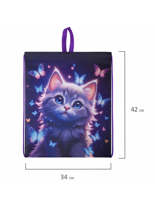 Мешок для обуви BRAUBERG KIDS, с петлей, 42х34 см, 