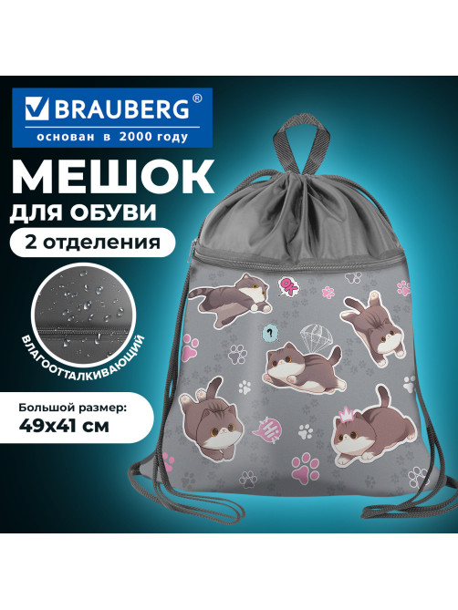 Мешок для обуви BRAUBERG БОЛЬШОЙ, с ручкой, карман на молнии, сетка, 49х41 см, 
