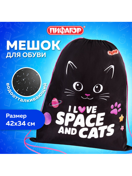 Мешок для обуви ПИФАГОР, 1 отделение, 42х34 см, 