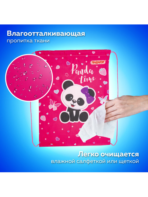 Мешок для обуви ПИФАГОР, 1 отделение, 42х34 см, 