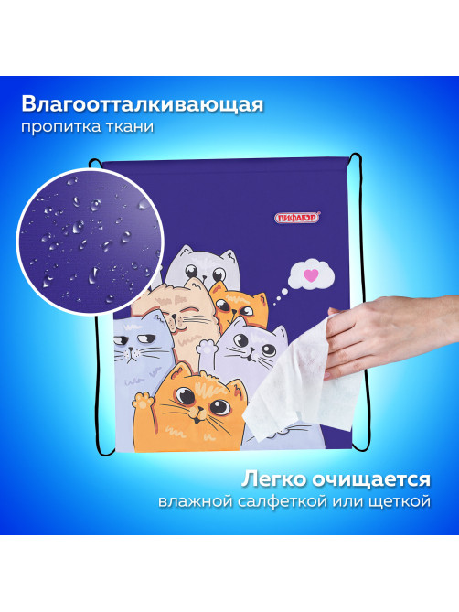 Мешок для обуви ПИФАГОР, 1 отделение, 42х34 см, 