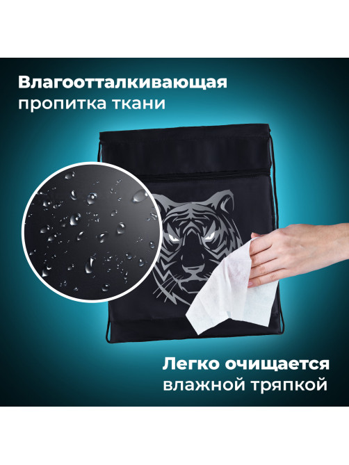 Мешок для обуви BRAUBERG, с петлёй, карман на молнии, 47х37 см, 
