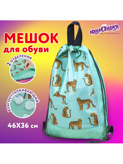Мешок для обуви ЮНЛАНДИЯ, с ручками, боковой карман на молнии, 46х36 см, 