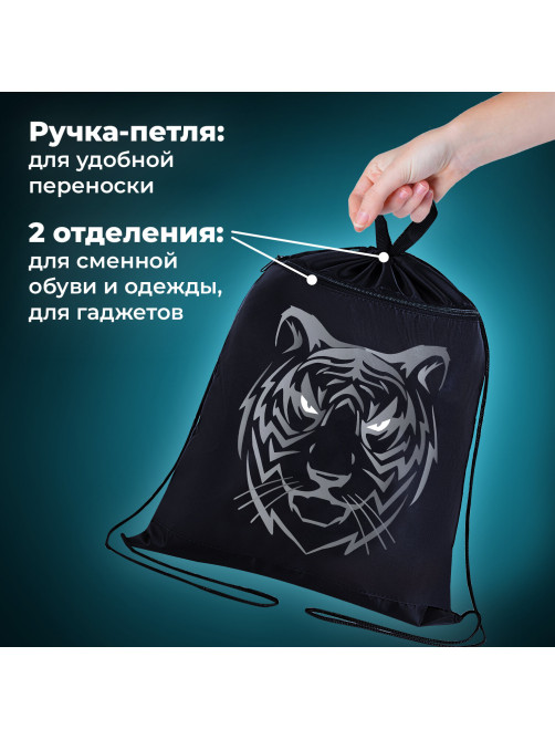 Мешок для обуви BRAUBERG, с петлёй, карман на молнии, 47х37 см, 