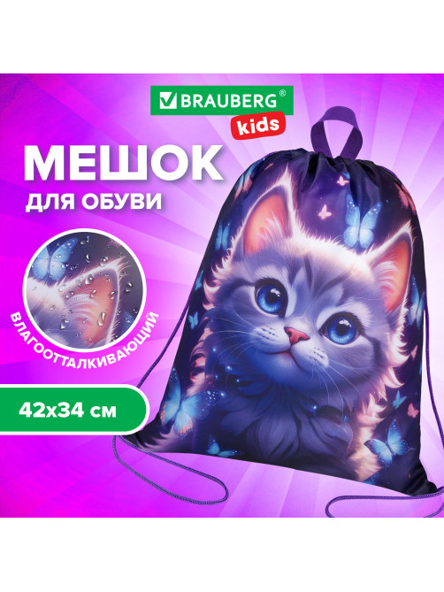 Мешок для обуви BRAUBERG KIDS, с петлей, 42х34 см, 