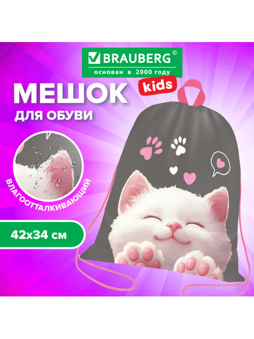 Мешок для обуви BRAUBERG KIDS, с петлей, 42х34 см, 