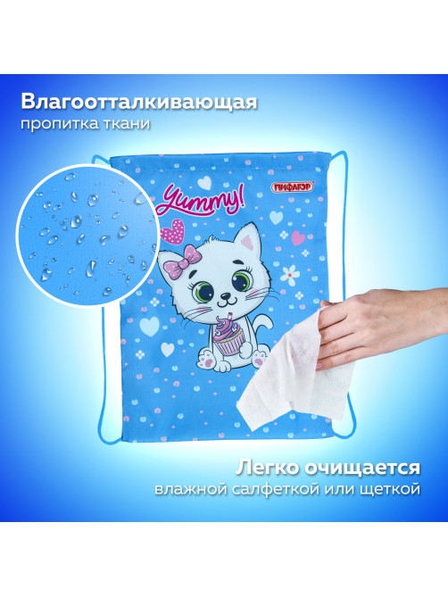 Мешок для обуви ПИФАГОР, 1 отделение, 42х34 см, 