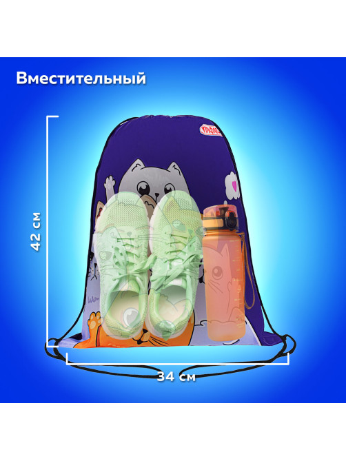 Мешок для обуви ПИФАГОР, 1 отделение, 42х34 см, 