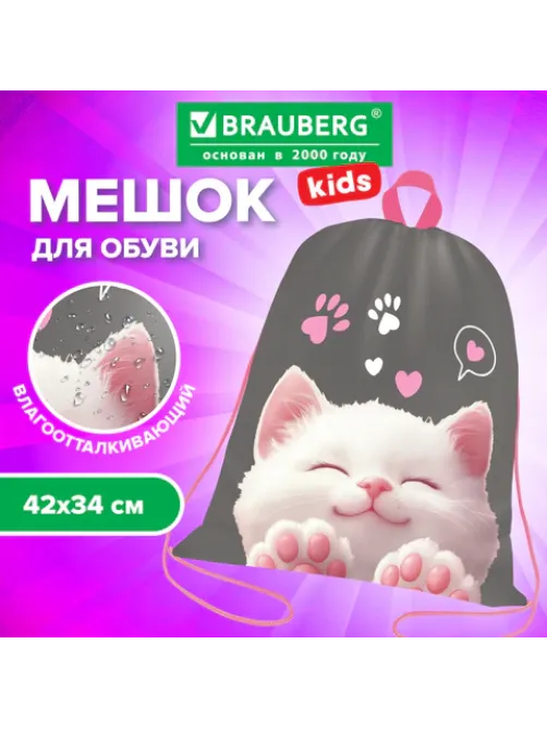 Мешок для обуви BRAUBERG KIDS, с петлей, 42х34 см, 