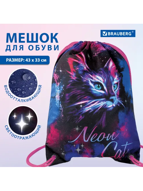 Мешок для обуви BRAUBERG PREMIUM, карман, подкладка, светоотражайка, 43х33 см, 