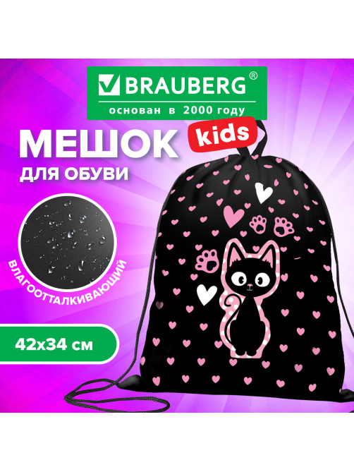 Мешок для обуви BRAUBERG KIDS, с петлей, 42х34 см, 