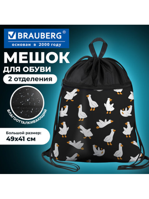 Мешок для обуви BRAUBERG БОЛЬШОЙ, с ручкой, карман на молнии, сетка, 49х41 см, 