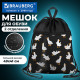 Мешок для обуви BRAUBERG БОЛЬШОЙ, с ручкой, карман на молнии, сетка, 49х41 см, 