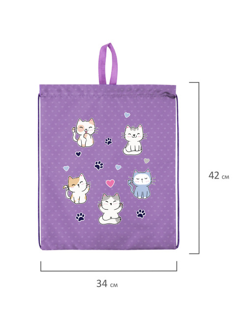 Мешок для обуви BRAUBERG KIDS, с петлей, 42х34 см, 