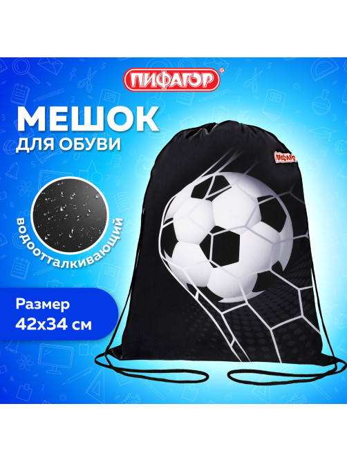Мешок для обуви ПИФАГОР, 1 отделение, 42х34 см, 