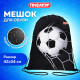 Мешок для обуви ПИФАГОР, 1 отделение, 42х34 см, 