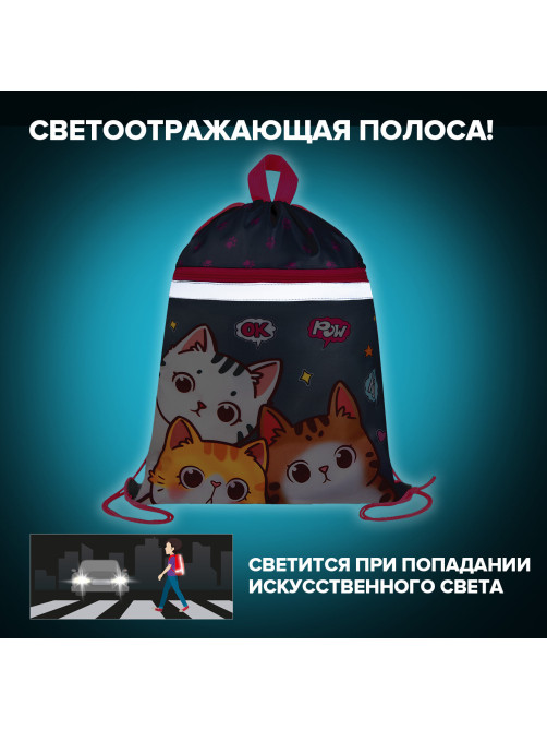 Мешок для обуви BRAUBERG, с петлей, светоотражающая полоса, 2 отделения, 46х36 см, 