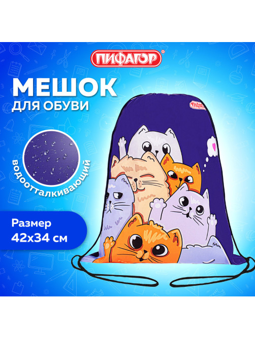 Мешок для обуви ПИФАГОР, 1 отделение, 42х34 см, 