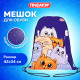 Мешок для обуви ПИФАГОР, 1 отделение, 42х34 см, 