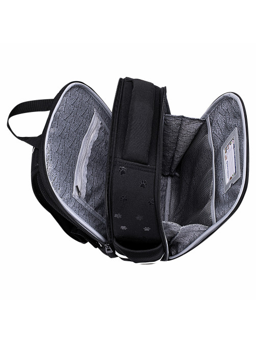 Ранец BRAUBERG FIT, 2 отделения, 