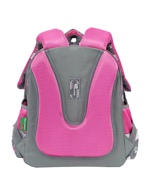 Ранец BRAUBERG KIDS STANDARD, 2 отделения, 