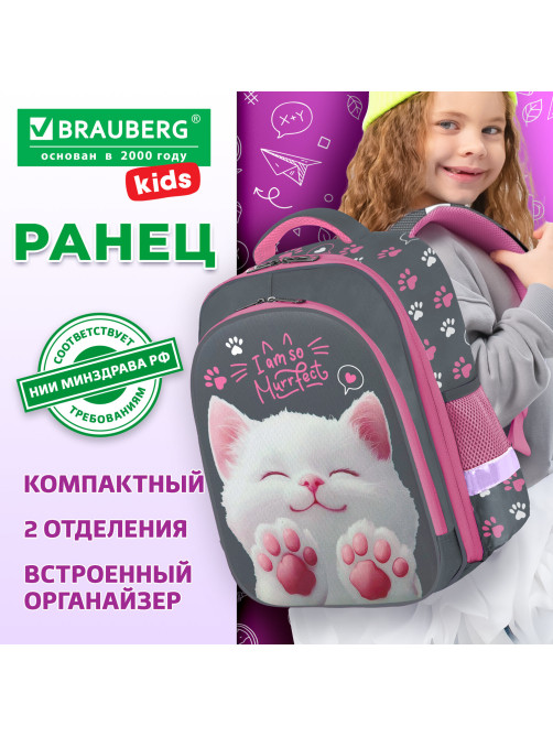 Ранец BRAUBERG KIDS STANDARD, 2 отделения, 