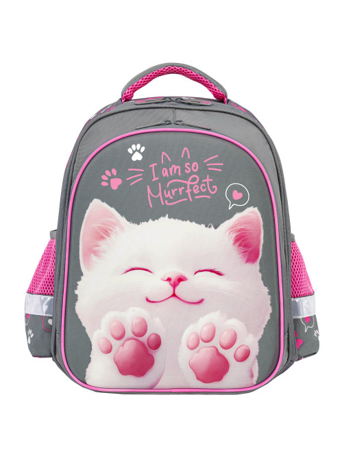 Ранец BRAUBERG KIDS STANDARD, 2 отделения, 