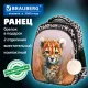 Ранец BRAUBERG STABLE, 2 отделения, с брелком, 