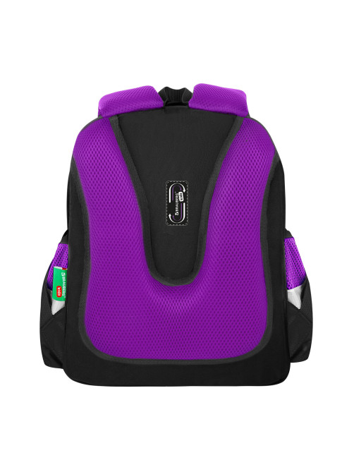 Ранец BRAUBERG KIDS STANDARD, 2 отделения, 