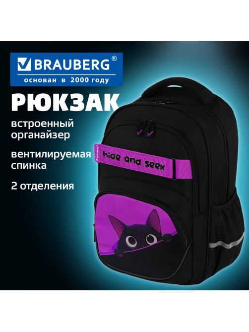 Рюкзак BRAUBERG MOTION, 2 отделения, 3 кармана, 