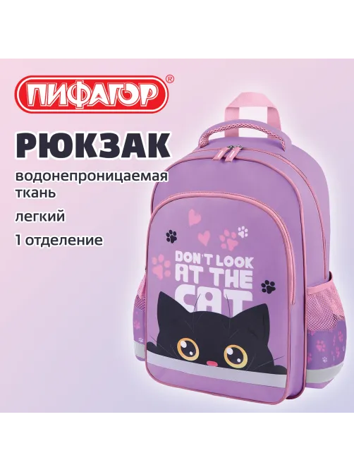 Рюкзак ПИФАГОР SCHOOL, 1 отделение, 3 кармана, 