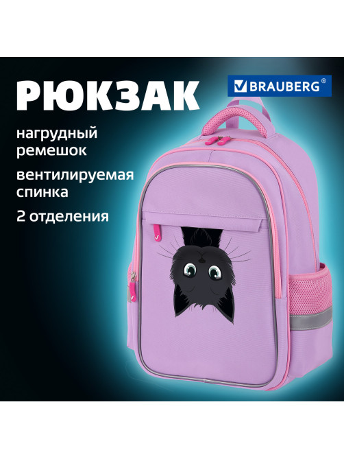 Рюкзак BRAUBERG FAVOUR, 2 отделения, 3 кармана, 