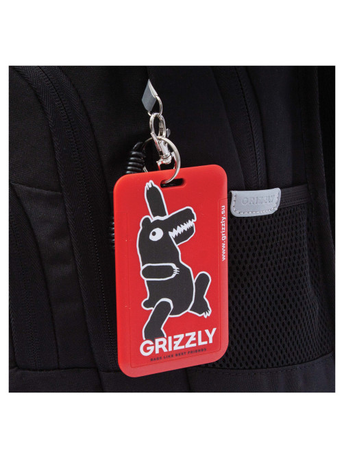 Рюкзак GRIZZLY школьный, анатомическая спинка, 2 отделения, для мальчиков, 
