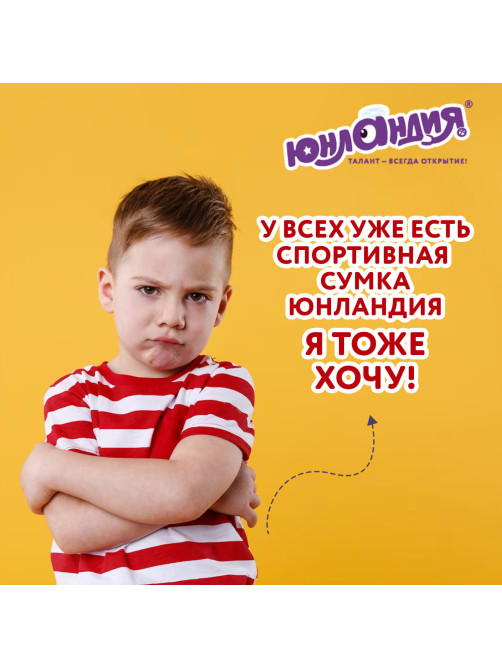 Сумка для занятий спортивная ЮНЛАНДИЯ с отделением для обуви, 40х22х20 см, синий/голубой, 270096