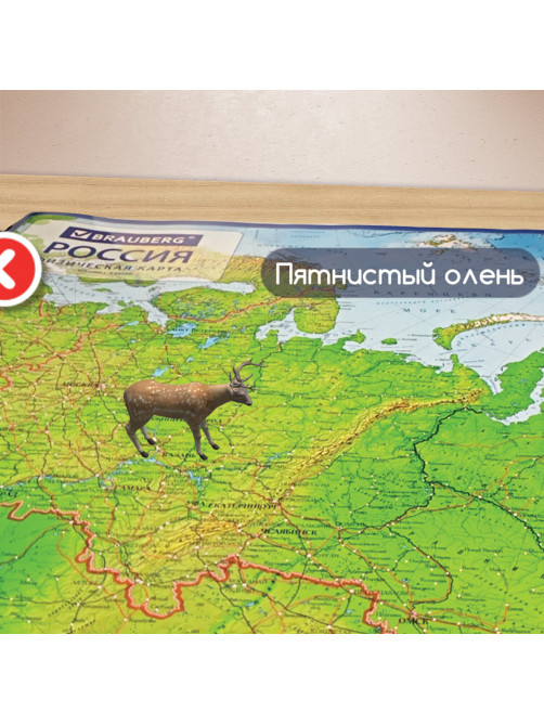 Карта России физическая 101х70 см, 1:8,5М, с ламинацией, интерактивная, европодвес, BRAUBERG, 112392