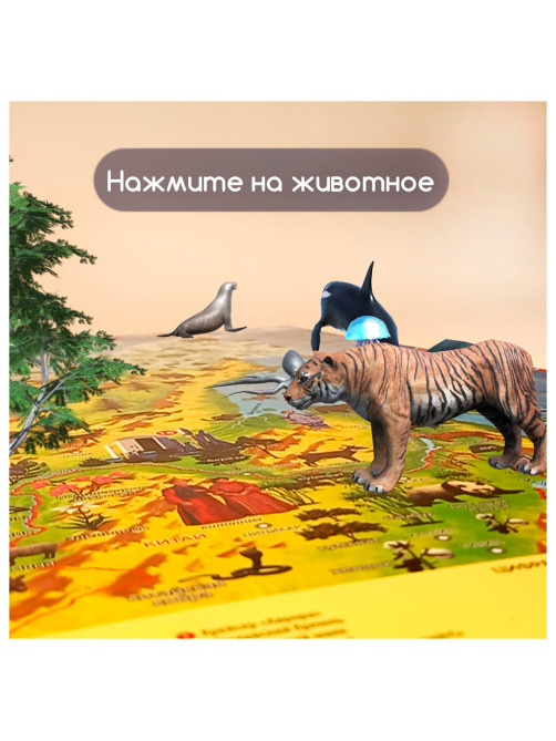 Карта России 