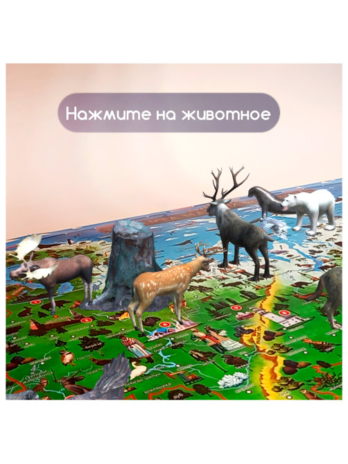 Карта России 