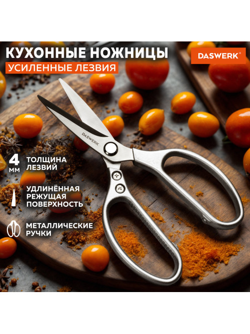 Ножницы кухонные DASWERK (ДАСВЕРК), 210 мм, удлиненное лезвие, металлические ручки, 608900