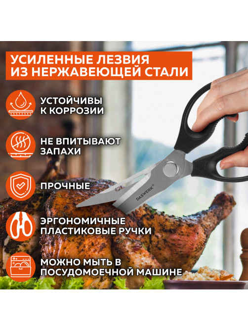 Ножницы кухонные DASWERK (ДАСВЕРК), 230 мм, разборные, с открывашками, зазубренные, 608906