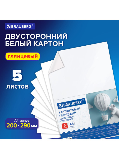 Картон белый А4 МЕЛОВАННЫЙ (белый оборот) 5 листов, BRAUBERG, 200х290 мм, 116626