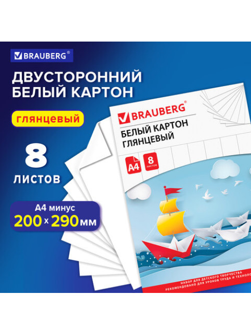 Картон белый А4 МЕЛОВАННЫЙ (белый оборот), 8 листов, в папке, BRAUBERG, 200х290 мм, 