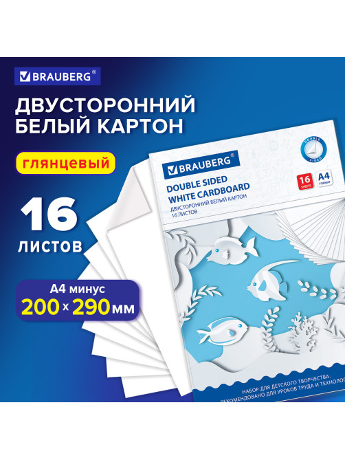 Картон белый А4 МЕЛОВАННЫЙ (белый оборот), 16 листов, в папке, BRAUBERG, 200х290 мм, 113561