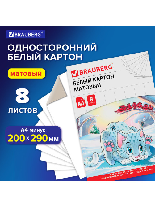 Картон белый А4 немелованный (матовый), 8 листов, в папке, BRAUBERG, 200х290 мм, 